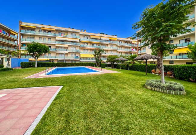 Appartamento a Lloret de Mar - Vivalidays Elia - Fenals - LLoret de Mar Appartamento a Lloret de Mar - Vivalidays Elia - Fenals - LLoret de Mar