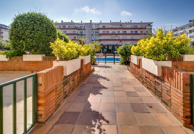 Appartamento a Blanes - Vivalidays Edurne - Blanes - Venta  Appartamento a Blanes - Vivalidays Edurne - Blanes - Venta