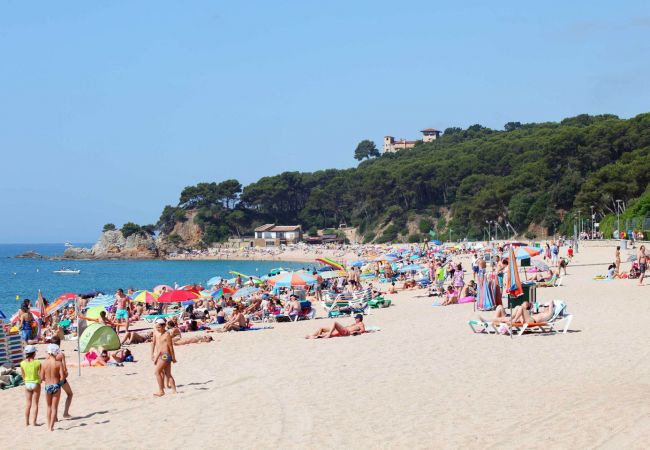 Апартаменты на Льорет дель Мар / Lloret de Mar - Vivalidays Rosalia - LLoret de Mar - Costa Апартаменты на Льорет дель Мар / Lloret de Mar - Vivalidays Rosalia - LLoret de Mar - Costa