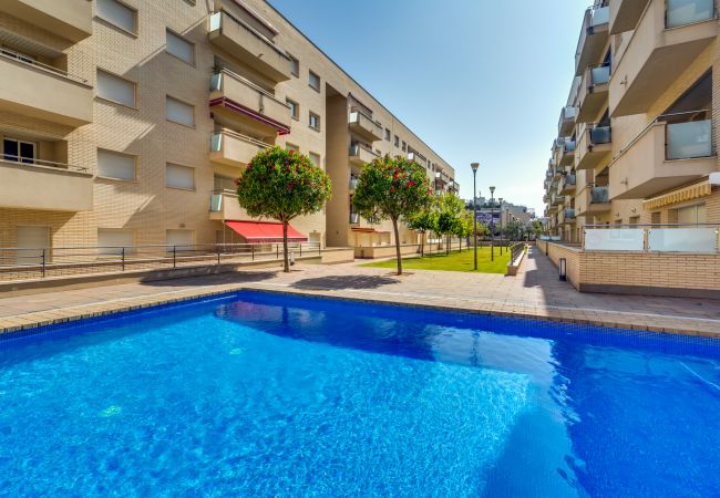 Апартаменты на Lloret de Mar - Vivalidays Alicia - Fenals - LLoret de Апартаменты на Lloret de Mar - Vivalidays Alicia - Fenals - LLoret de