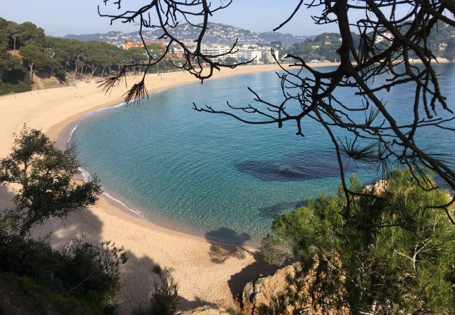 Апартаменты на Lloret de Mar - Vivalidays Alicia - Fenals - LLoret de Апартаменты на Lloret de Mar - Vivalidays Alicia - Fenals - LLoret de