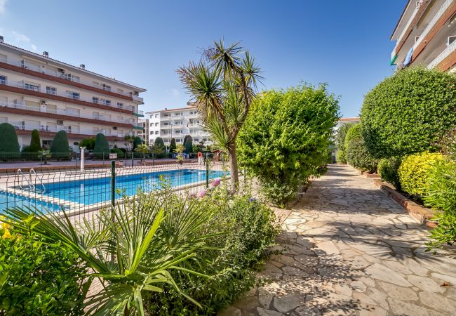 Апартаменты на Blanes - Vivalidays Edurne - Blanes - Costa Brava Апартаменты на Blanes - Vivalidays Edurne - Blanes - Costa Brava