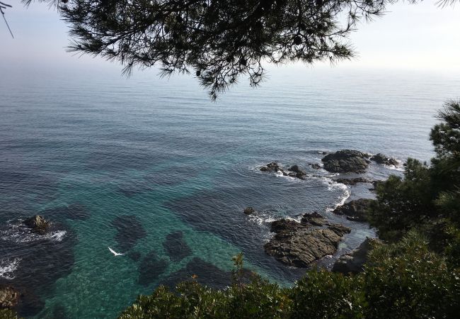 Квартира-студия на Lloret de Mar - Vivalidays Lara - Fenals - LLoret de Mar Квартира-студия на Lloret de Mar - Vivalidays Lara - Fenals - LLoret de Mar