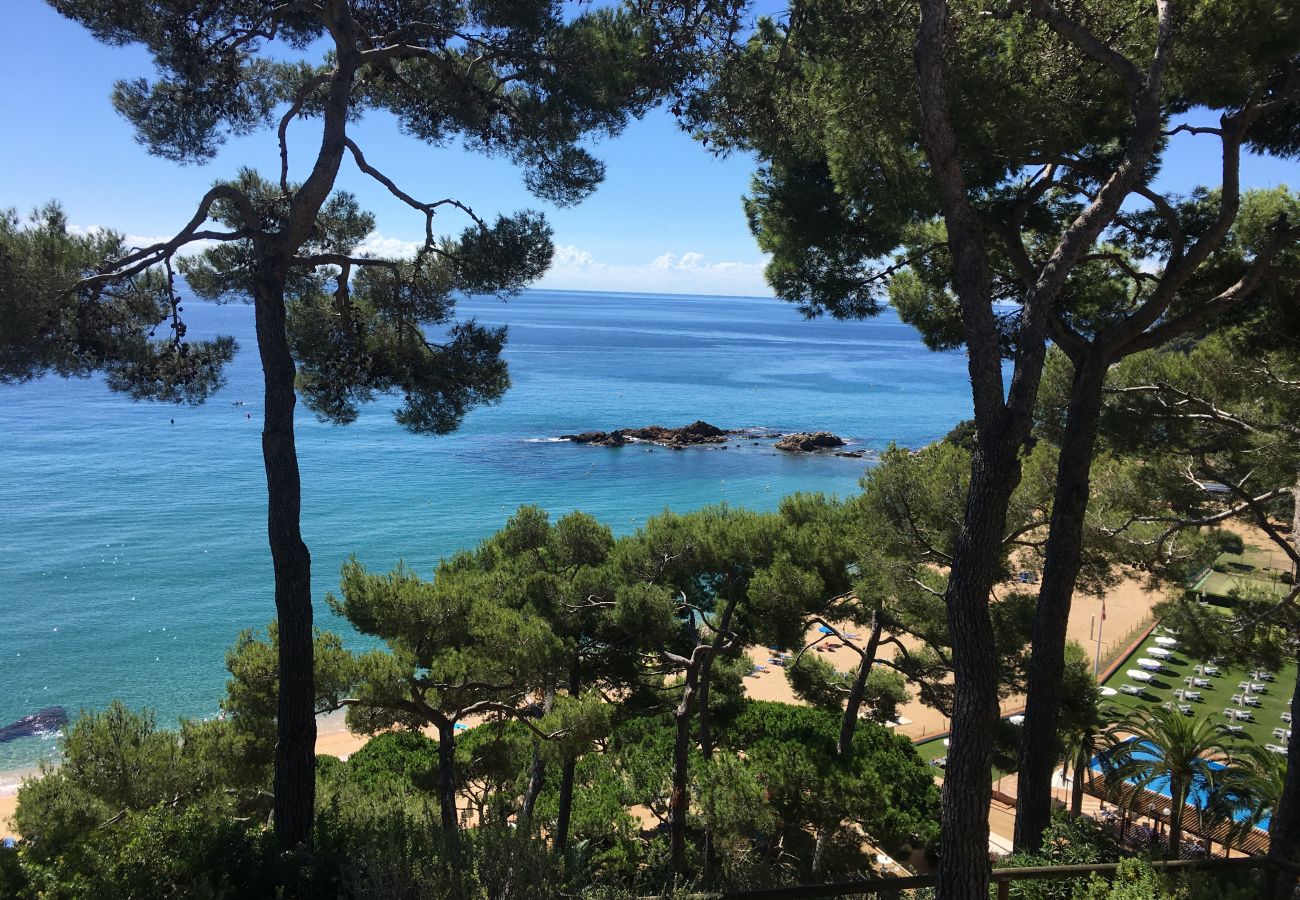 Квартира-студия на Льорет дель Мар / Lloret de Mar - Vivalidays Lara - Fenals - LLoret de Mar Квартира-студия на Льорет дель Мар / Lloret de Mar - Vivalidays Lara - Fenals - LLoret de Mar
