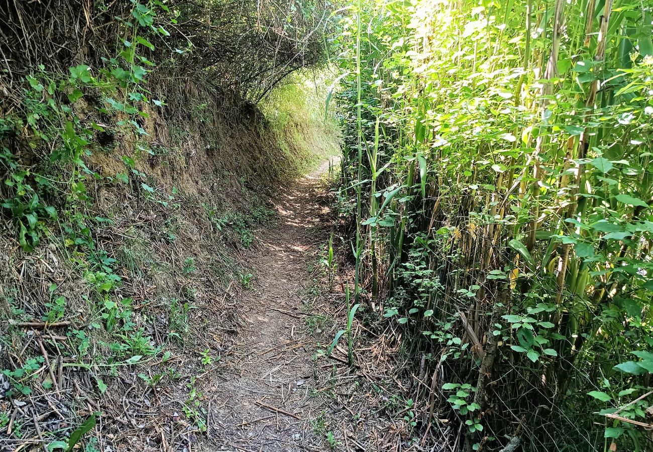 Коттедж на Mieres - Vivalidays Casa Rural Anna   Mieres  Gerona Коттедж на Mieres - Vivalidays Casa Rural Anna   Mieres  Gerona