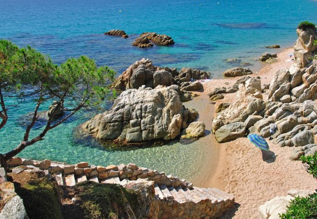 Апартаменты на Льорет дель Мар / Lloret de Mar - Vivalidays Kaylo - Fenals - LLoret de Mar Апартаменты на Льорет дель Мар / Lloret de Mar - Vivalidays Kaylo - Fenals - LLoret de Mar