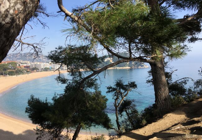 Апартаменты на Lloret de Mar - Vivalidays Elia - Fenals - LLoret de Mar Апартаменты на Lloret de Mar - Vivalidays Elia - Fenals - LLoret de Mar
