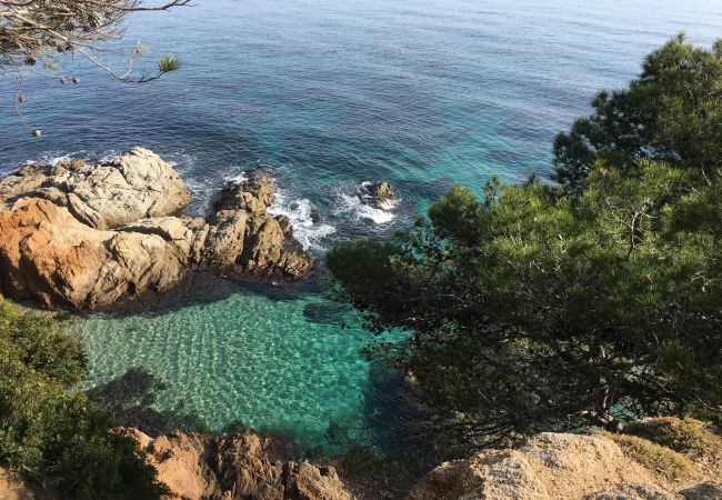 Апартаменты на Lloret de Mar - Vivalidays Elia - Fenals - LLoret de Mar Апартаменты на Lloret de Mar - Vivalidays Elia - Fenals - LLoret de Mar