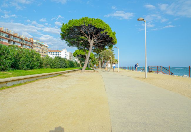 Апартаменты на Pineda de Mar - Vivalidays Margarita - Pineda de Mar Апартаменты на Pineda de Mar - Vivalidays Margarita - Pineda de Mar