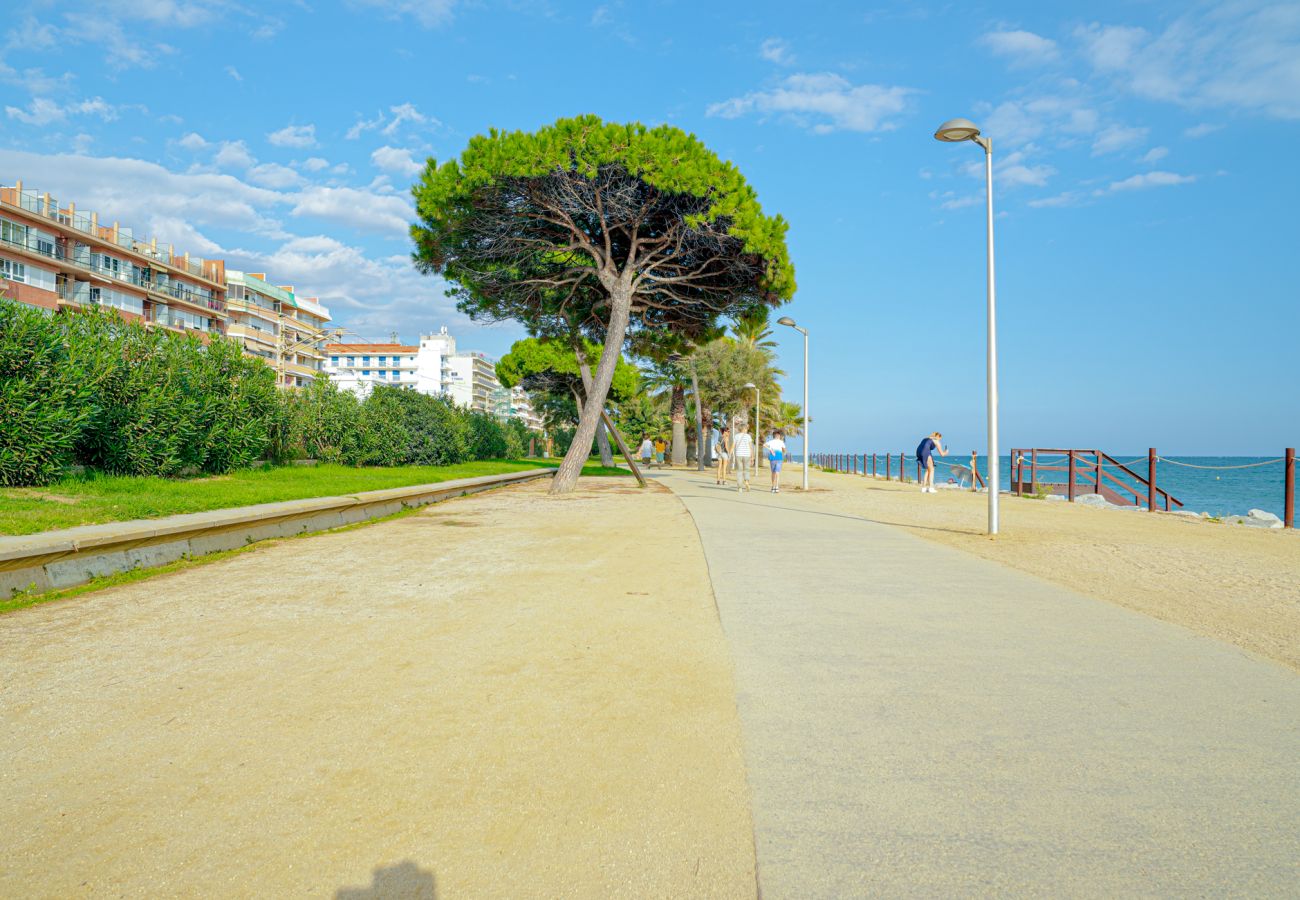 Апартаменты на Pineda de Mar - Vivalidays Margarita - Pineda de Mar Апартаменты на Pineda de Mar - Vivalidays Margarita - Pineda de Mar