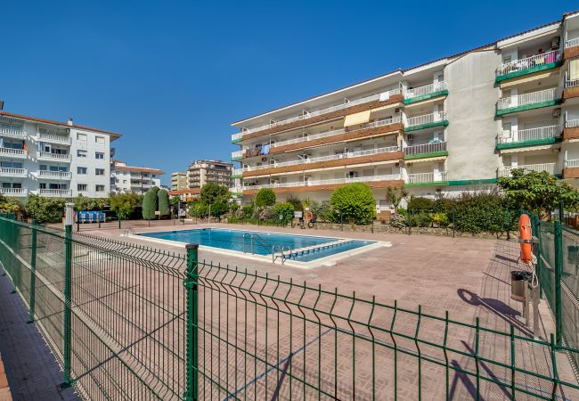 Апартаменты на Blanes - Vivalidays Edurne - Blanes - Temporal Апартаменты на Blanes - Vivalidays Edurne - Blanes - Temporal