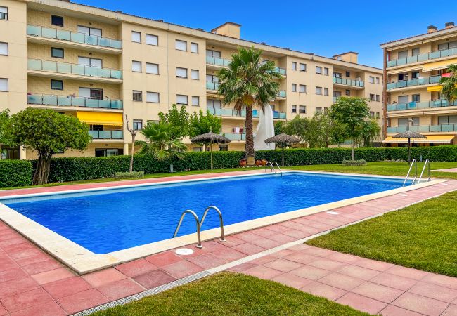 Апартаменты на Lloret de Mar - Vivalidays Elia - Fenals - Temporal Апартаменты на Lloret de Mar - Vivalidays Elia - Fenals - Temporal