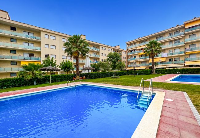 Апартаменты на Lloret de Mar - Vivalidays Elia - Fenals - Temporal Апартаменты на Lloret de Mar - Vivalidays Elia - Fenals - Temporal