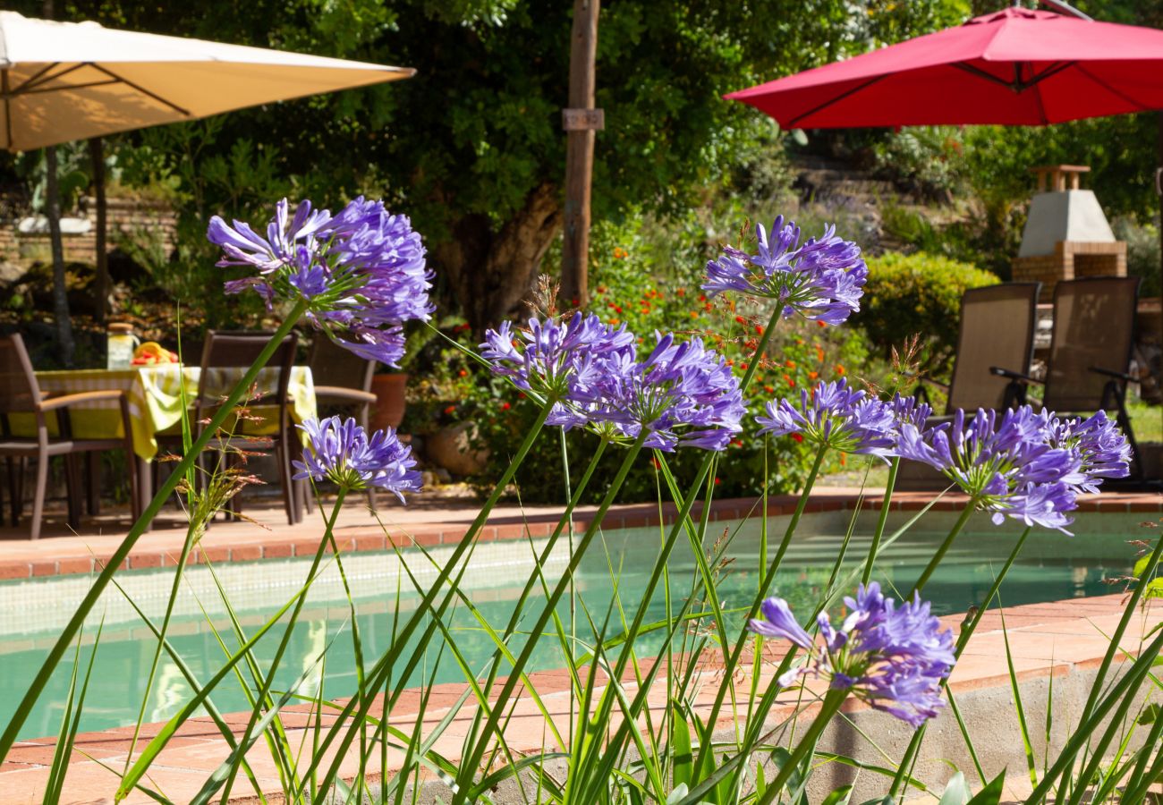 Вилла на Санта Сусана - Vivalidays Can Rabassa - Sta Susanna - Temporal  Вилла на Санта Сусана - Vivalidays Can Rabassa - Sta Susanna - Temporal