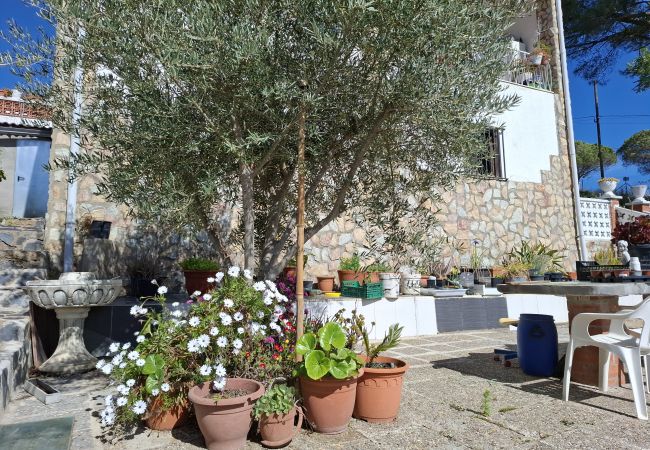 Casa en maçanet de la selva - Pedraforca